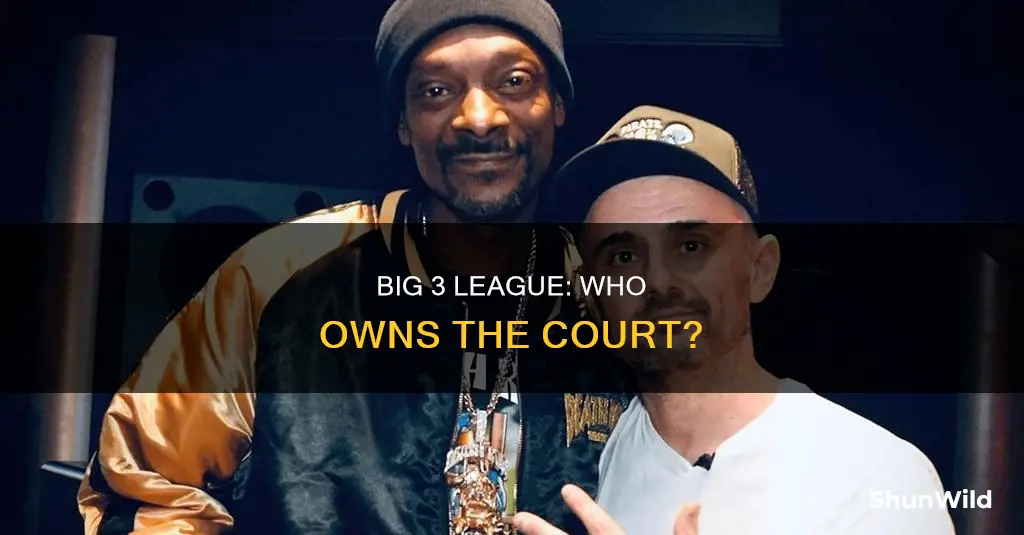 who owns the big 3 basketball league