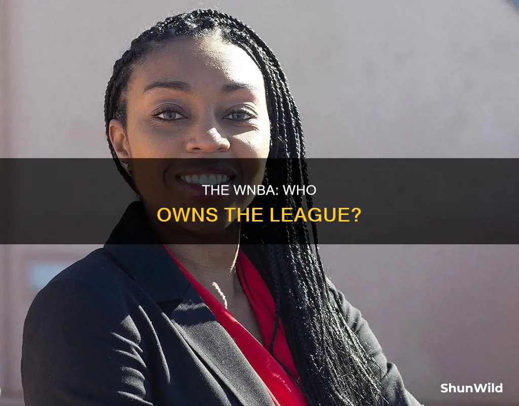 who owns the wnba