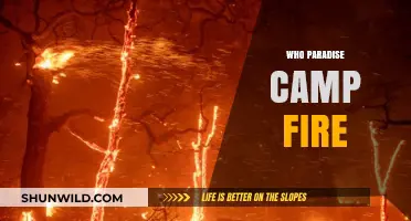 Who Paradise Camp Fire: Unraveling the Mystery of the Blaze