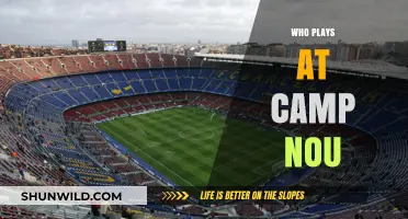 Stars of Camp Nou: A Look at FC Barcelona's Home Heroes
