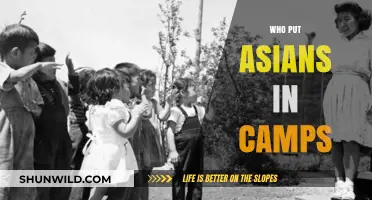 Unveiling History: The Untold Story of Asian Internment Camps
