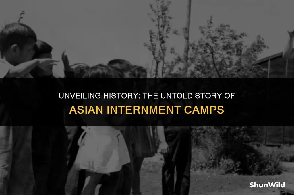 who put asians in camps