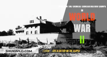Unveiling the Dark History: Who Operated China's WWII Concentration Camps?