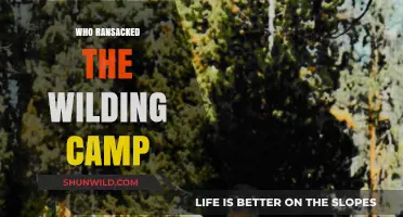 Unraveling the Mystery: Who Ransacked the Wilding Camp?