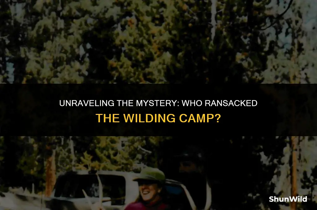 who ransacked the wilding camp