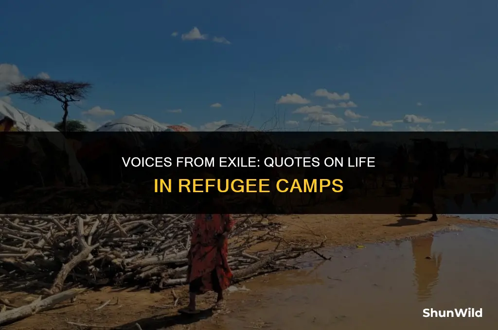 who refugee camps quotes