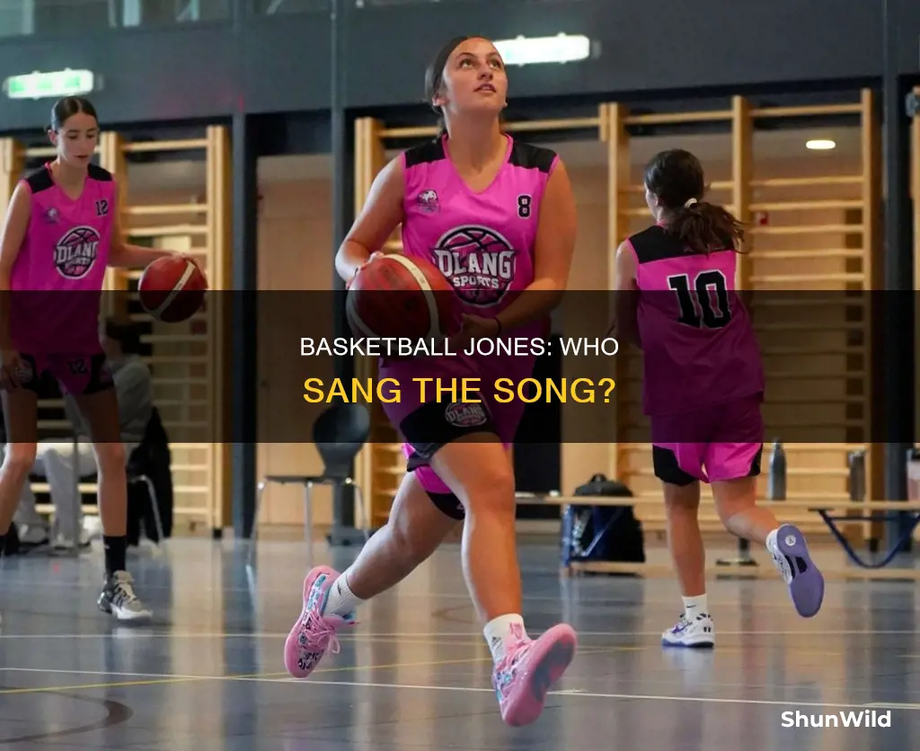 who sang basketball jones