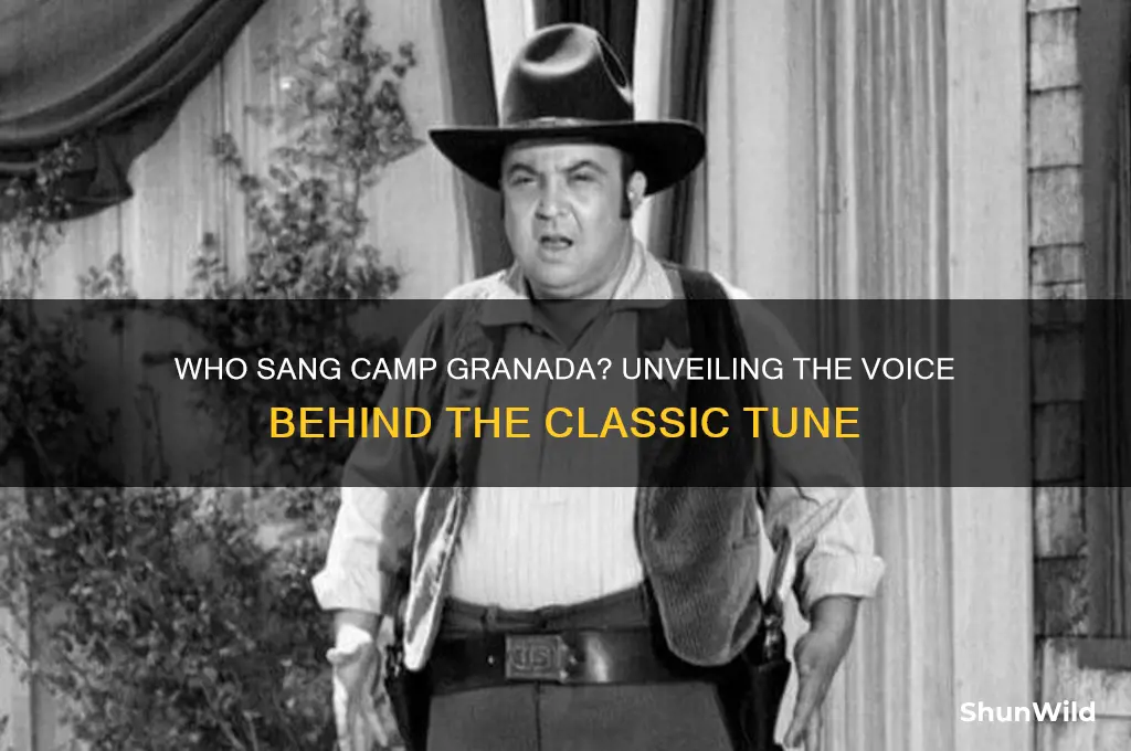 who sang camp granada