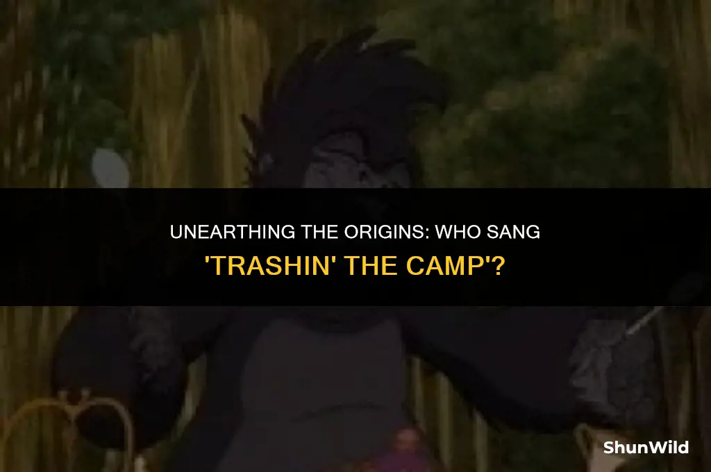 who sang trashin the camp