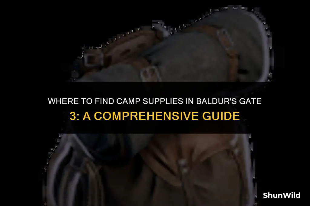 who sells camp supplies bg3