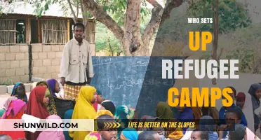 Who Sets Up Refugee Camps: A Comprehensive Guide to Key Players