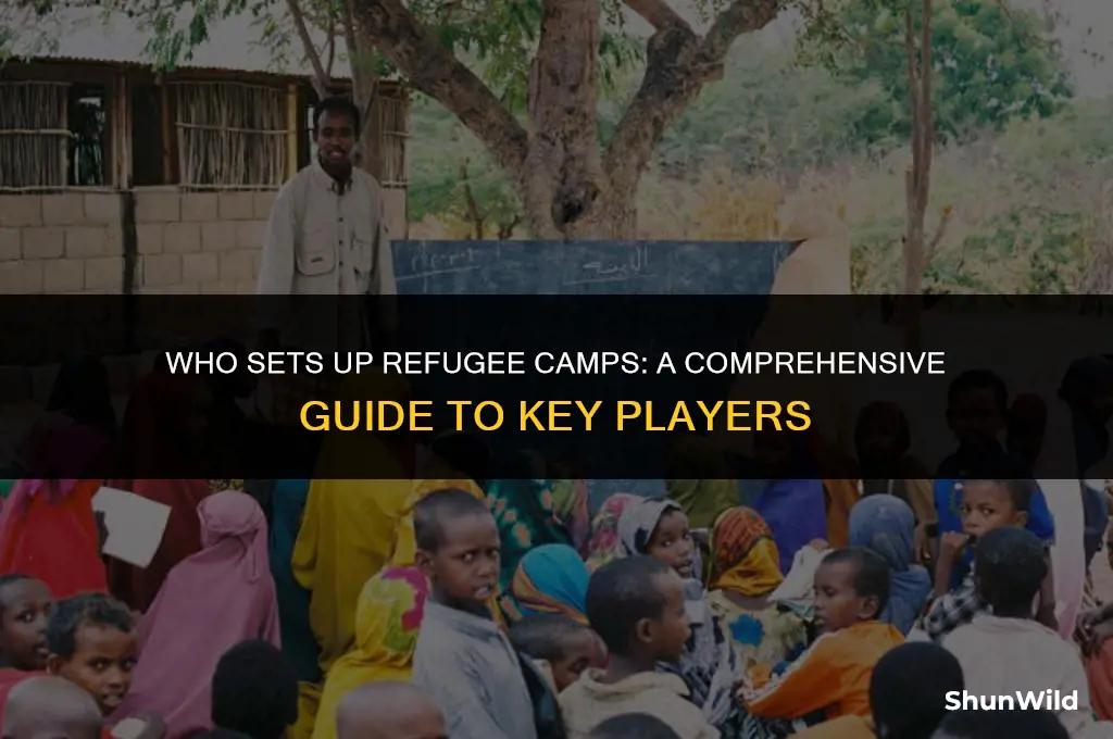 who sets up refugee camps