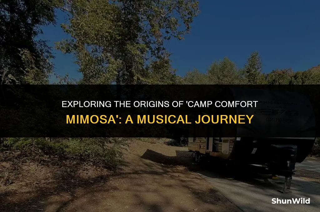 who sings camp comfort mimosa