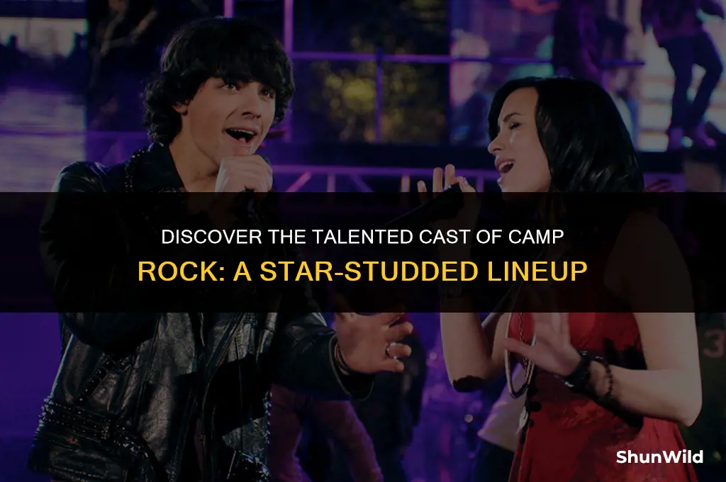 who stars in camp rock