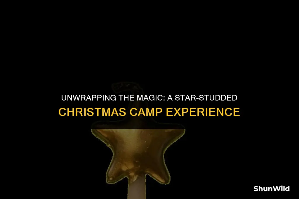 who stars in christmas camp