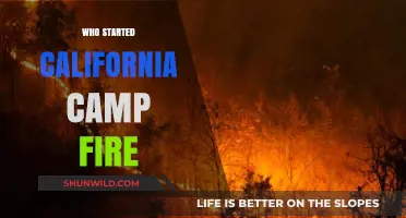 Unraveling the Origins: Who Ignited the Devastating California Camp Fire?