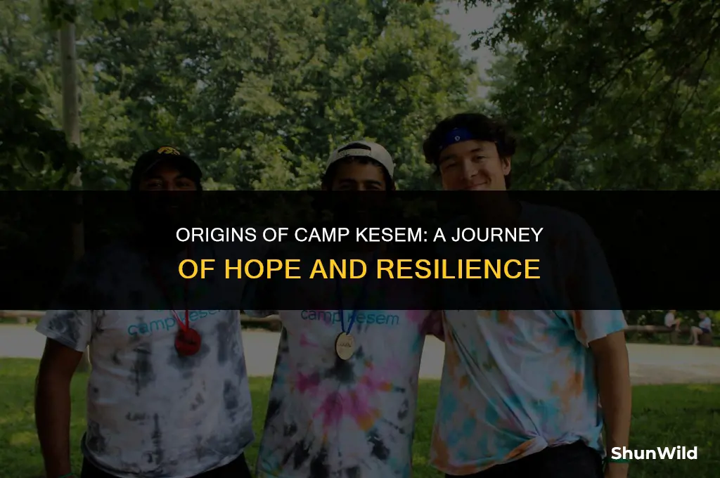 who started camp kesem