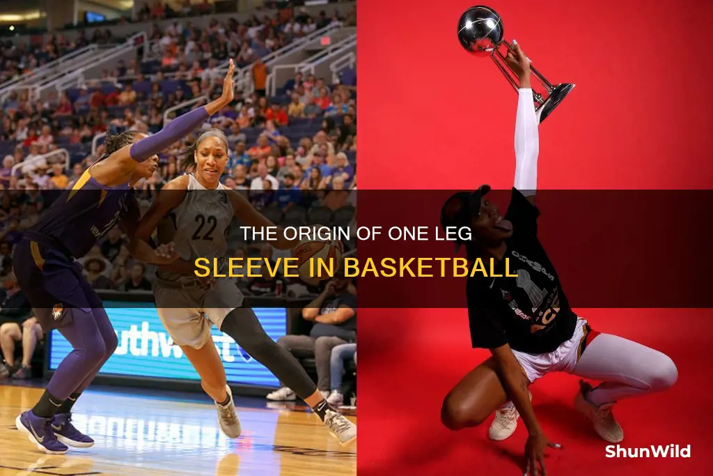 who started one leg sleeve in basketball