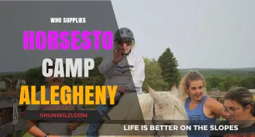 Allegheny Trails: Unveiling the Equine Suppliers Behind Camp Adventures
