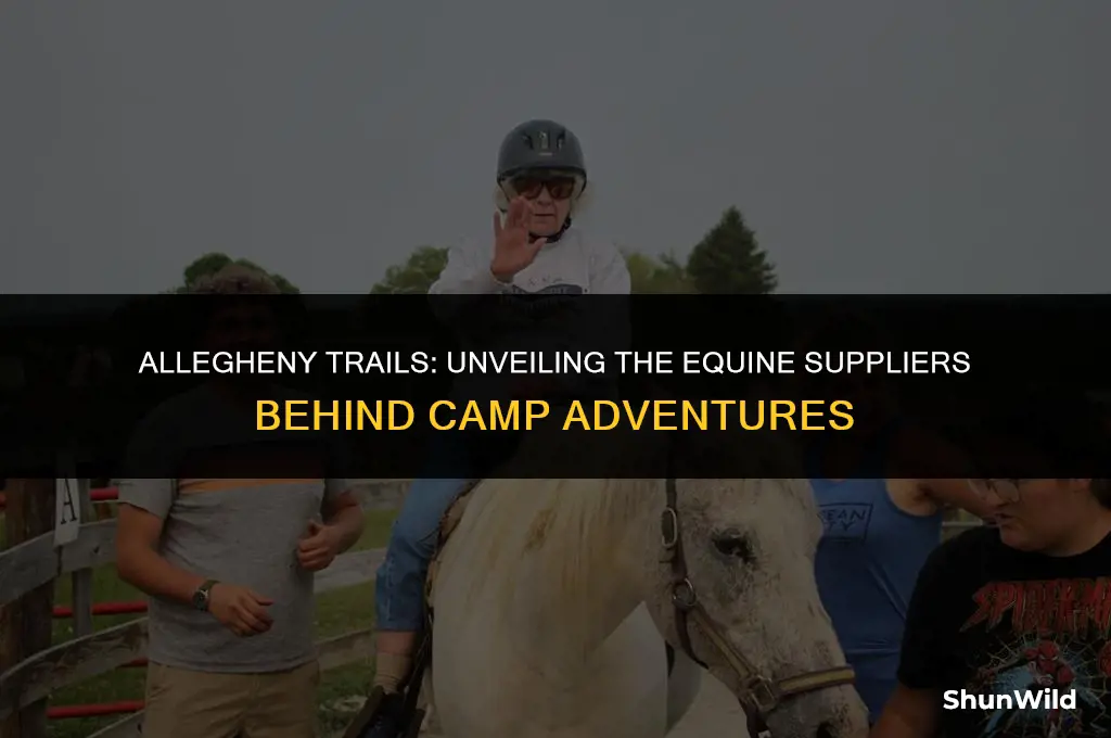 who supplies horsesto camp allegheny