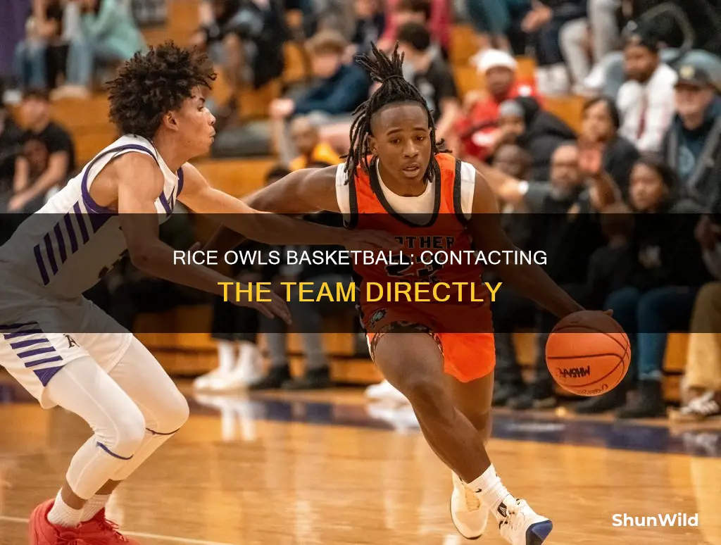 who to contact rice mens basketball