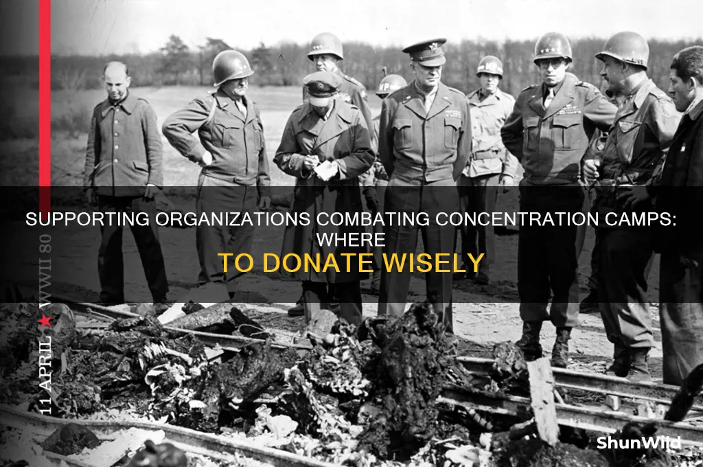 who to donate to to fight concentration camps