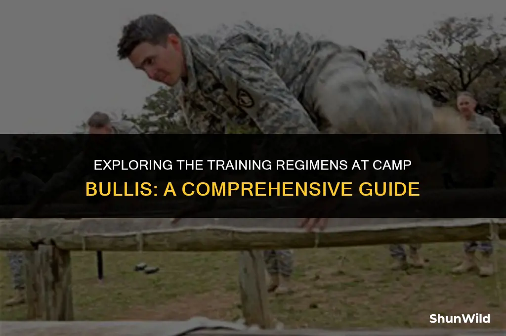 who traims at camp bullis