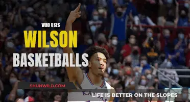Wilson Basketballs: Who's Using Them and Why