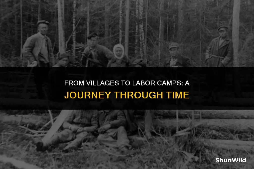 who villages to labor camps