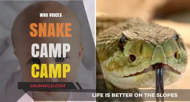 Unveiling the Mystery: Who Voices Snake Camp?