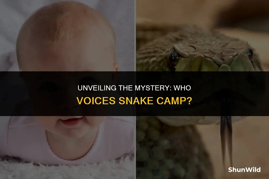 who voices snake camp camp
