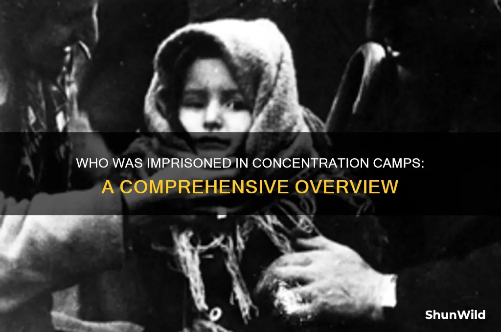 who was all in concentration camps
