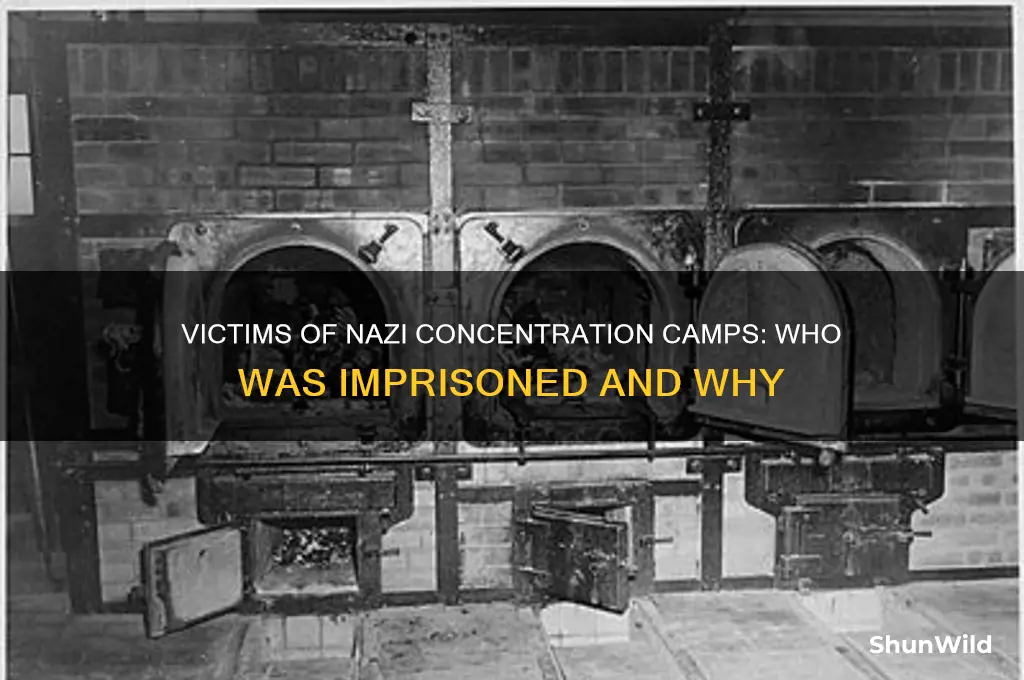 who was imprisoned in nazi concentration camps