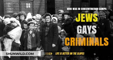 Concentration Camps: Jews, Gays, and Criminals Targeted in Nazi Persecution
