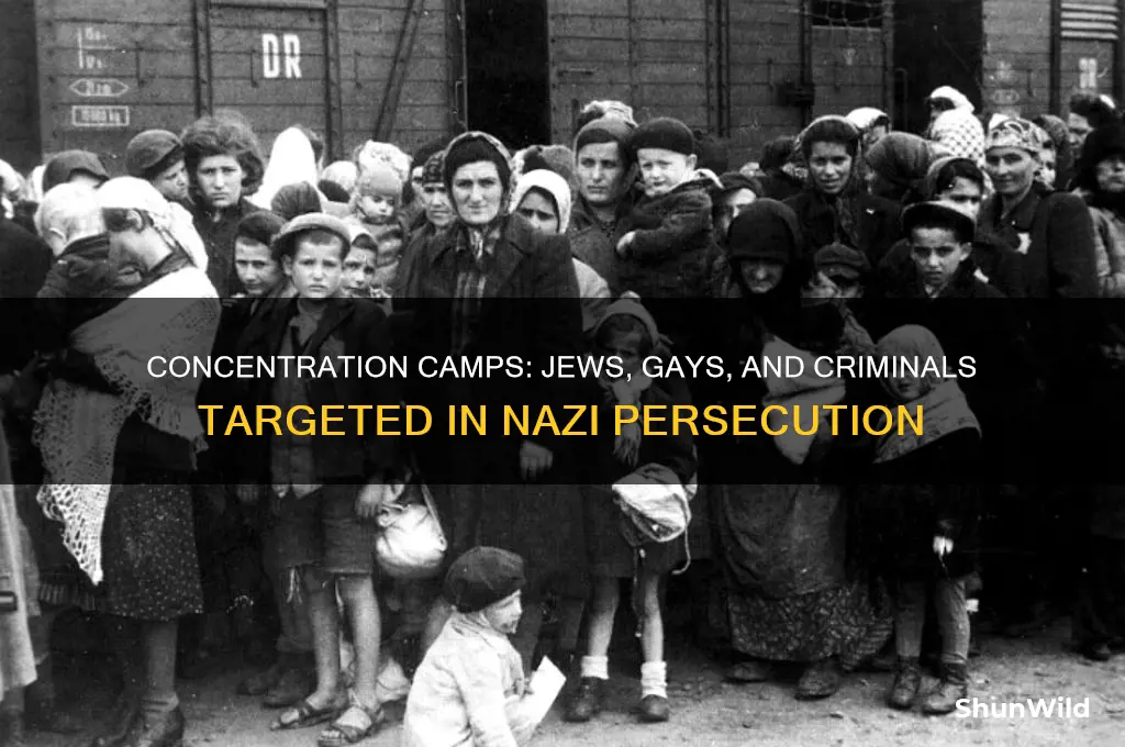 who was in concentration camps jews gays criminals