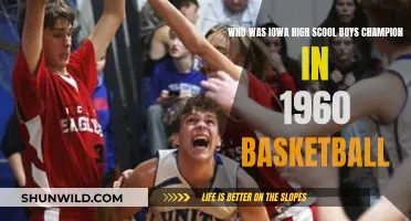 Iowa's 1960 Boys Basketball Champions: Who Were They?
