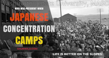FDR's Presidency and Japanese American Concentration Camps: A Dark Chapter