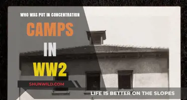 WWII Concentration Camps: Victims, Targeted Groups, and Tragic Realities