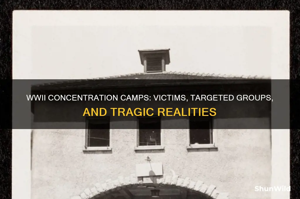 who was put in concentration camps in ww2