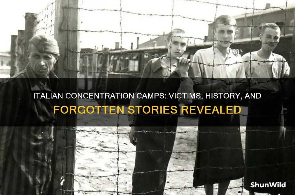 who was put into italian concentration camps