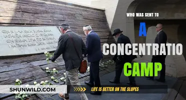 Victims of Hate: Who Was Sent to Concentration Camps?