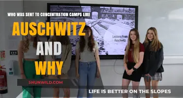 Auschwitz and Beyond: Victims, Persecution, and Nazi Concentration Camps
