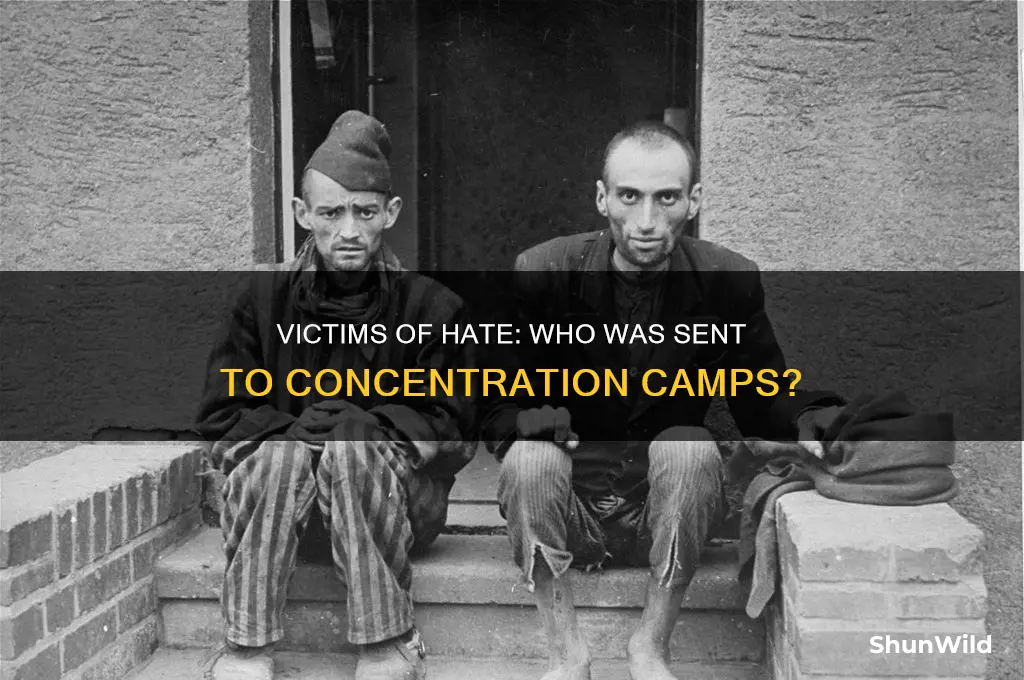 who was sent to the concentration camps