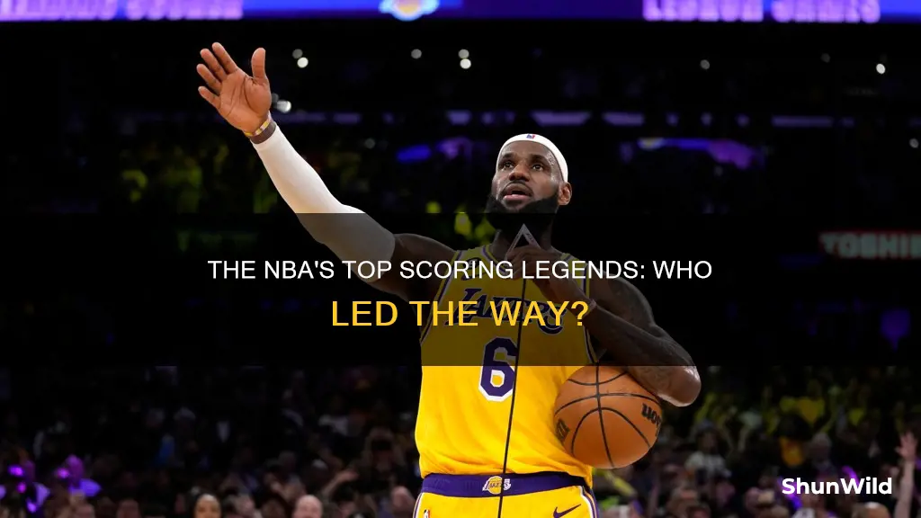 who was the leading scorer in the nba