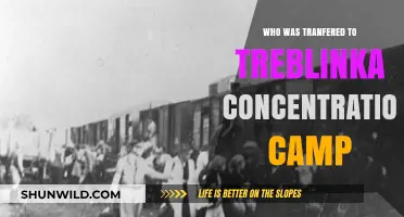 Treblinka Concentration Camp: Uncovering the Stories of Those Transferred