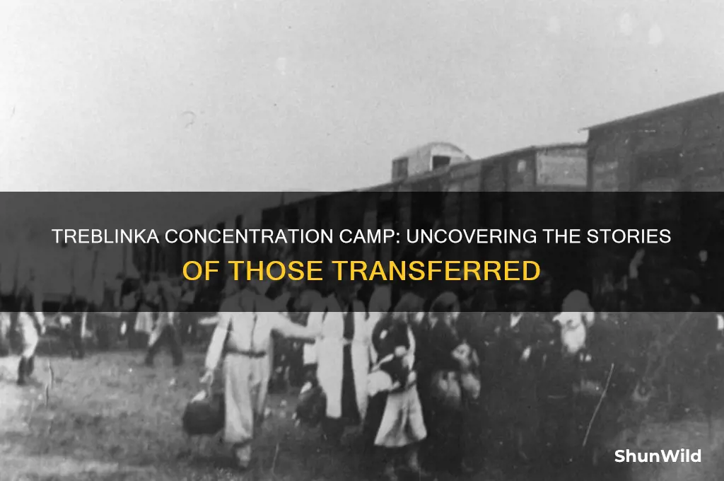 who was tranfered to treblinka concentration camp
