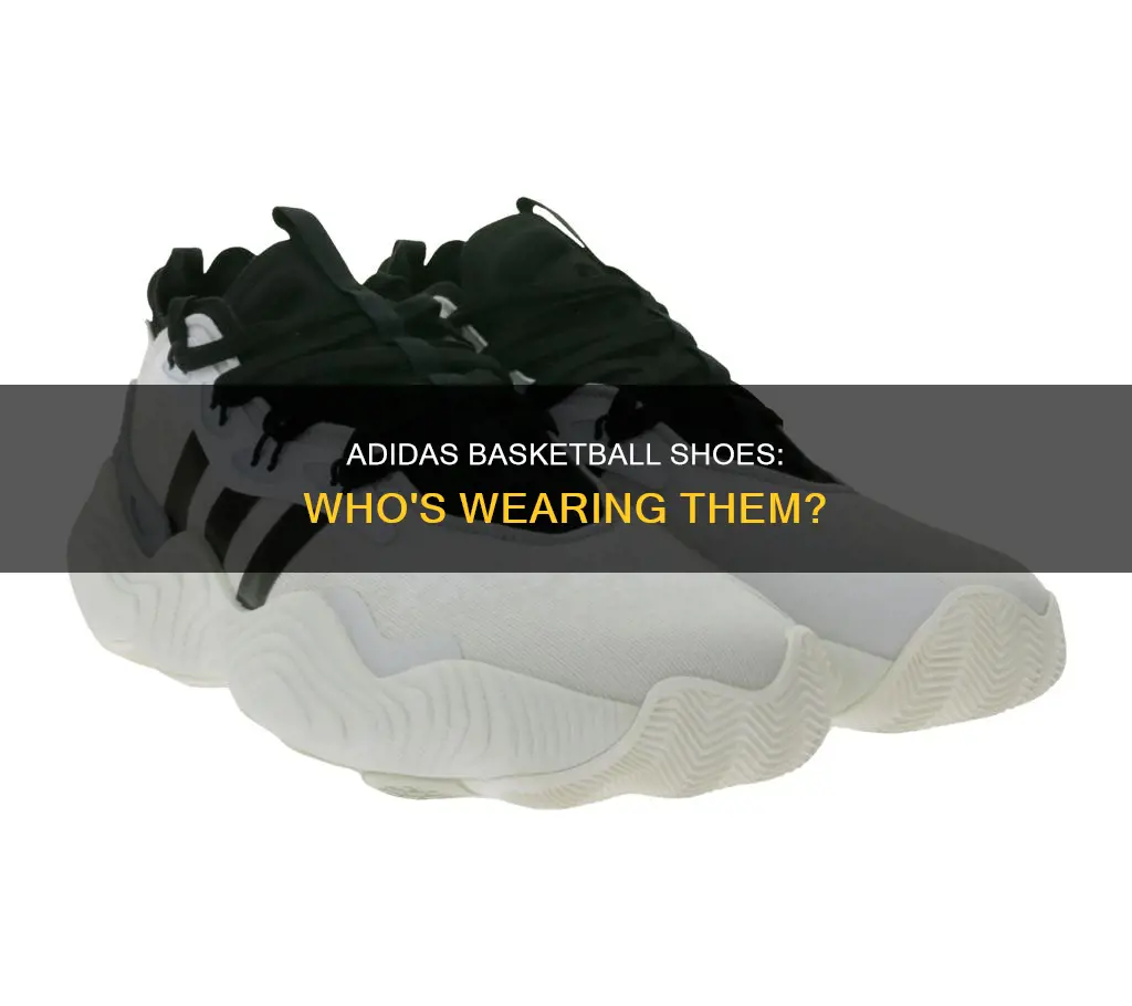 who wears adidas basketball shoes