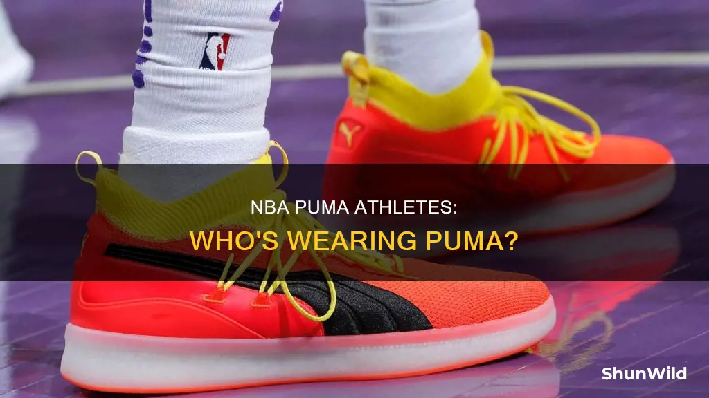 who wears puma basketball shoes in nba