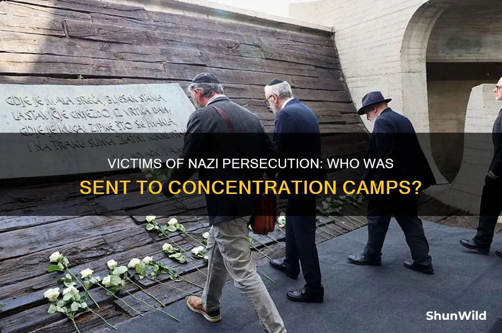 who went into concentration camps