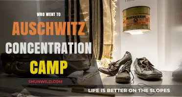Auschwitz Concentration Camp: Victims, Survivors, and Their Harrowing Stories